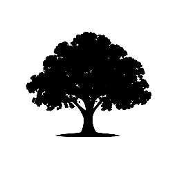 INSTITUTO TERRA GOYAZES